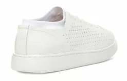 UGG Pismo Cozy Casual Sports Low Tops Skateboarding Shoes White 1118511-WHYP -Air-jordan Sales Shop 4 e9fe8406 9fa3 4dc2 a821 5e3ebd100773